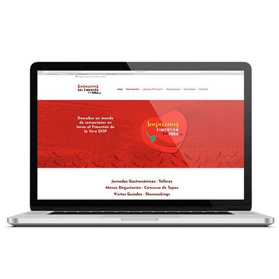 diseño web en plasencia