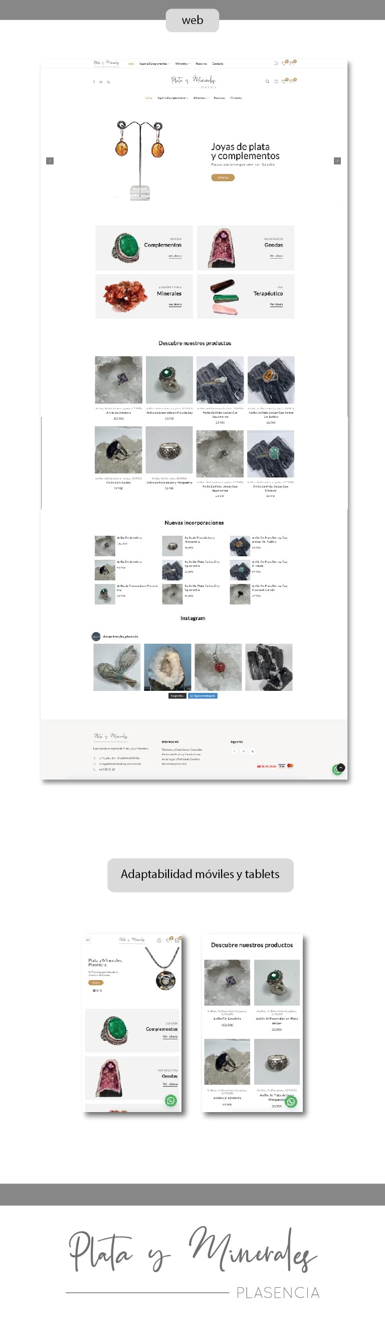 Dise&ntilde;o_web_plata_minerales_plasencia